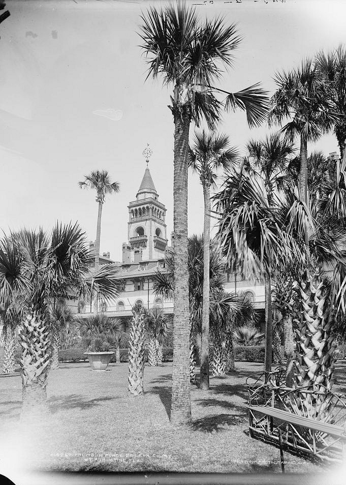 Hotel Ponce de Leon, St Augustine Florida 1902 Palms in Ponce de Leon Hotel court
