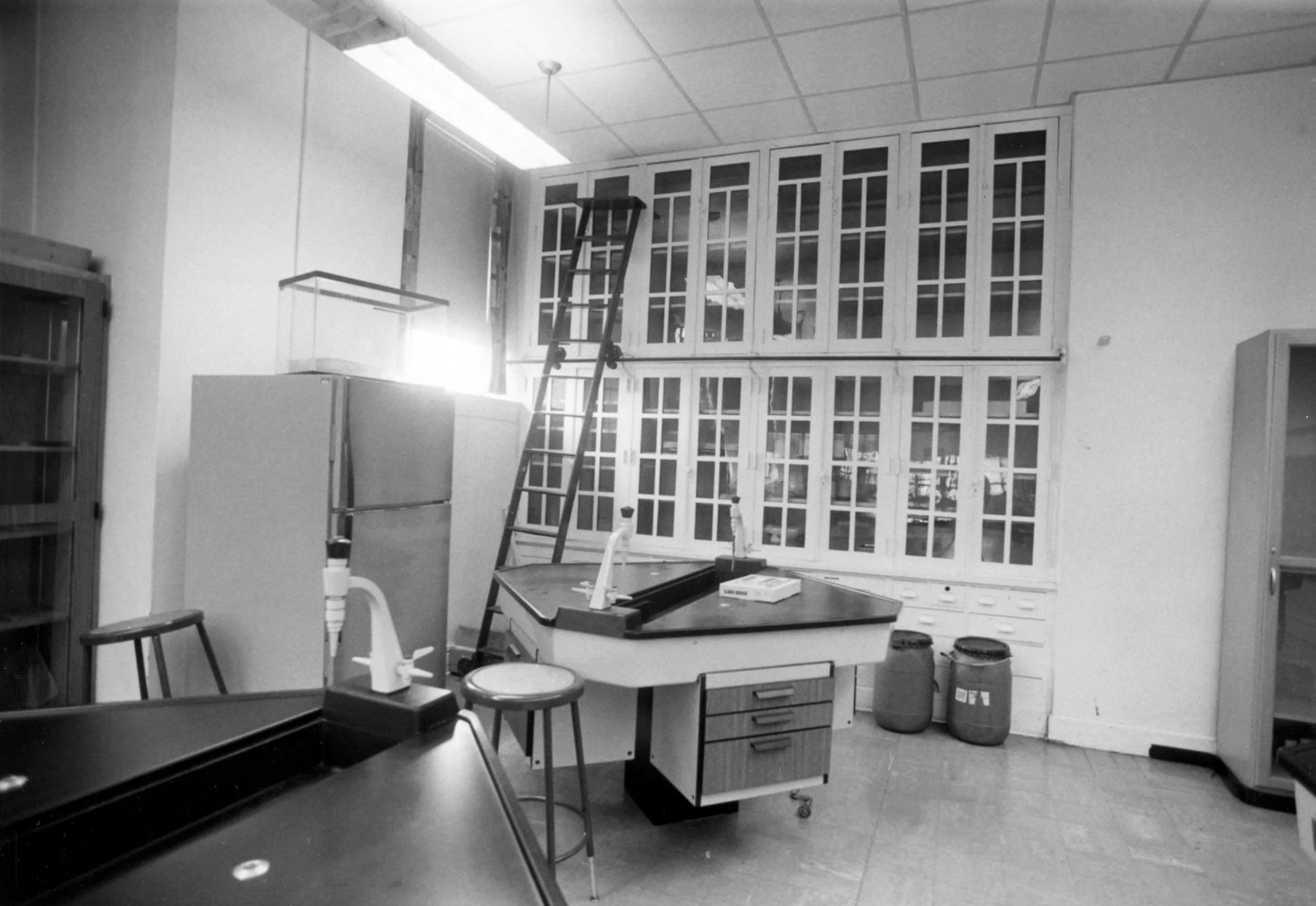Ralph Waldo Emerson School, Gary Indiana New biology lab, 2nd floor, showing built-in cabinets made by students (1993)